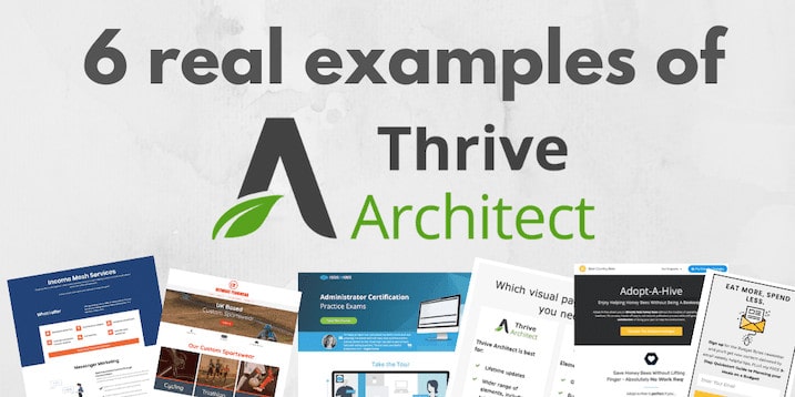 Thrive Architect Examples