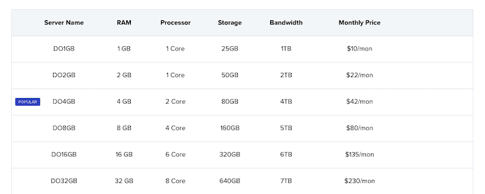 Cloudways Digitalocean Hosting