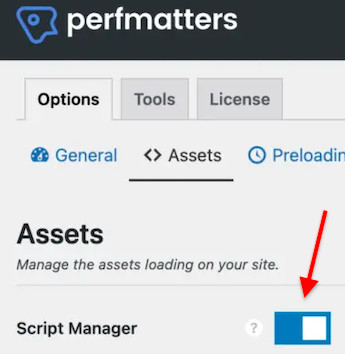 perfmatters turn on script manager