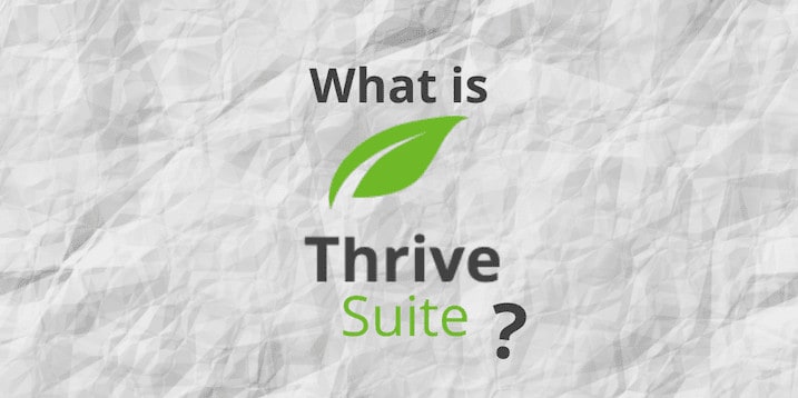 Get This Report on What Are Thrive Themes